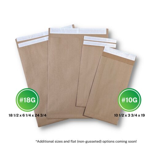 Eco-Natural Lite Paper Shipping Bags